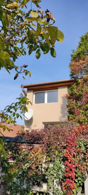 Flora House 3 Minutes From Lake Balaton Kestel Dış mekan fotoğraf