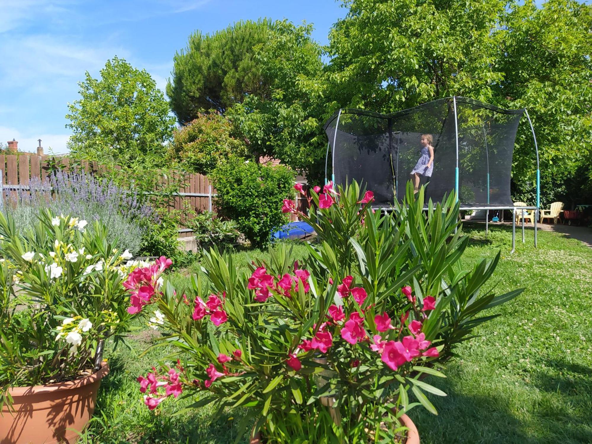 Flora House 3 Minutes From Lake Balaton Kestel Dış mekan fotoğraf